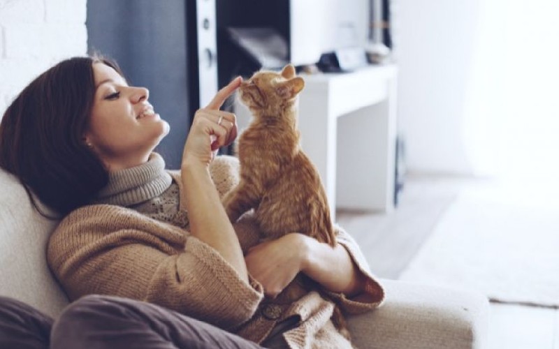 befriedigend türkisch Farmina Pet Foods - Genius Tipps