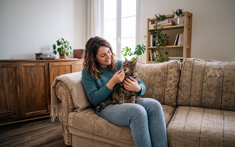 How to Give Pills to a Cat