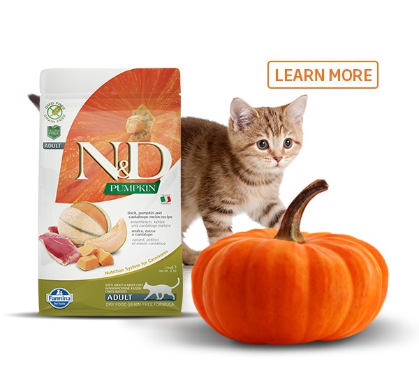 n&d pumpkin cat food