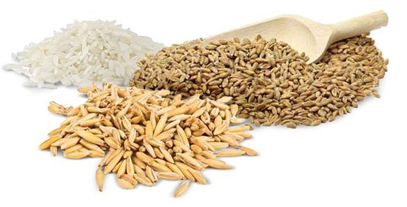 Farmina Pet Foods - Materia primă