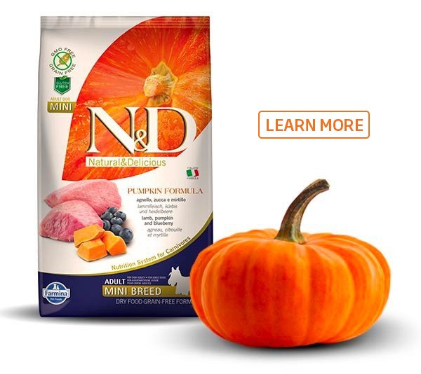 Natural \u0026 Delicious Pumpkin Formula Canine