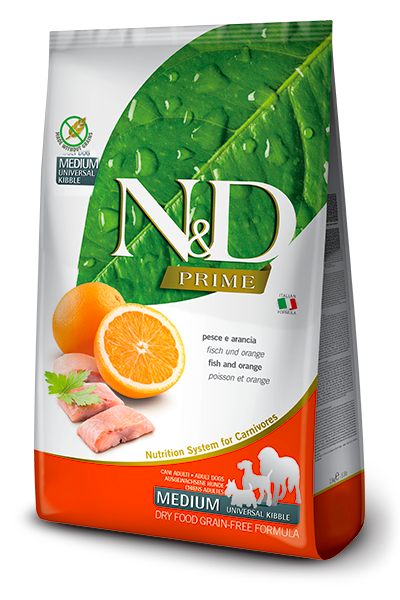 Fish & Orange Adult Medium