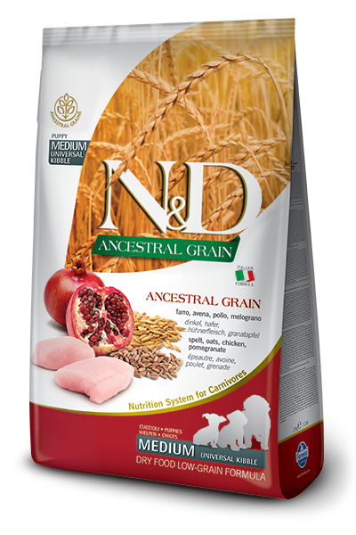 N&D Ancestral Grain Chicken & Pomegranate Puppy Medium