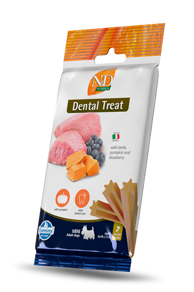 Dental Treat Lam, Pompoen & Blauwe Bes Mini