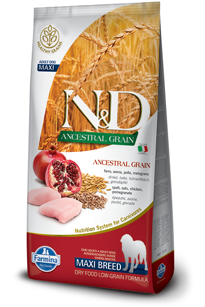 N&D Ancestral Grain Chicken & Pomegranate Adult Medium/Maxi