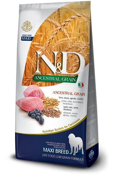 N&D Ancestral Grain Lamb & Blueberry Adult Medium/Maxi