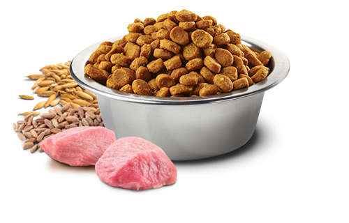 N&D アンセストラルグレイン チキン 避妊、去勢2kg 2袋 ファルミナペットフーズ・ジャパン株式会社 - キャットフード - N&D