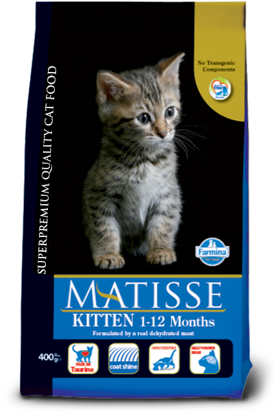 Matisse Chaton 1-12 mois