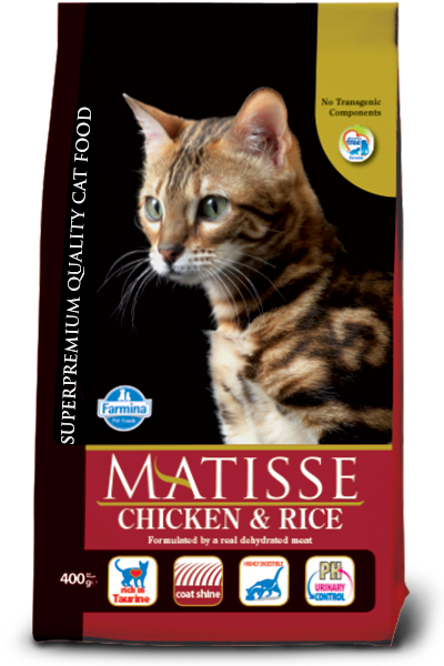 Matisse Poulet & Riz