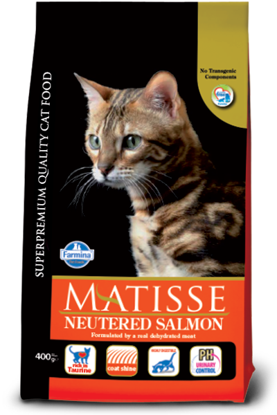 Matisse Stérilisé Saumon