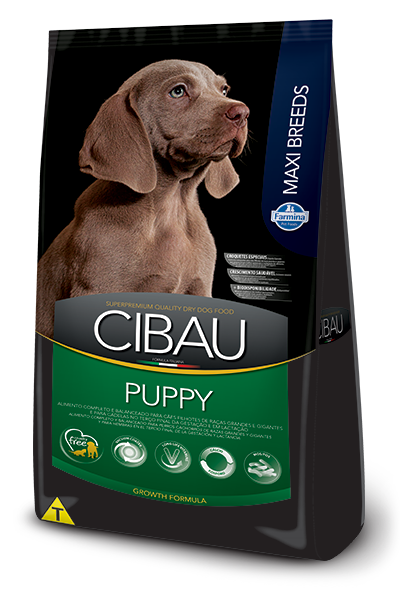 cibau puppy large