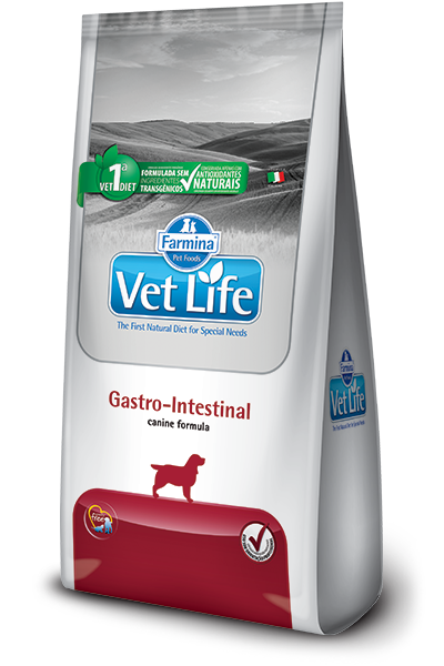 Gastro-Intestinal Canine