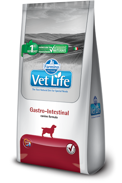 Gastro-Intestinal canine