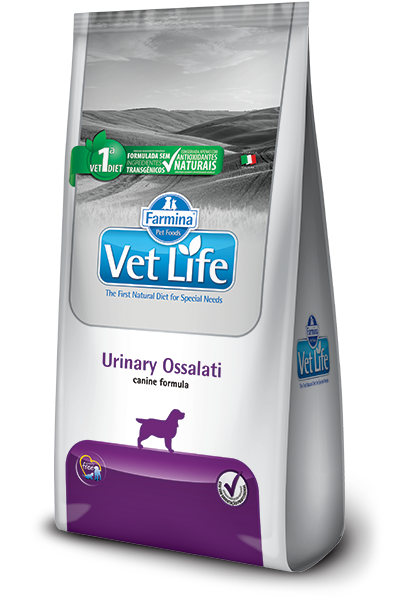 Urinary Ossalati canine