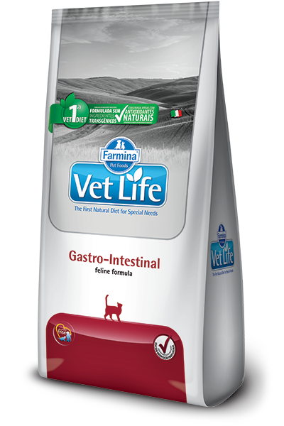 Gastro-Intestinal feline