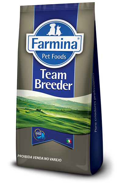 Adult Medium Pescado y Naraja