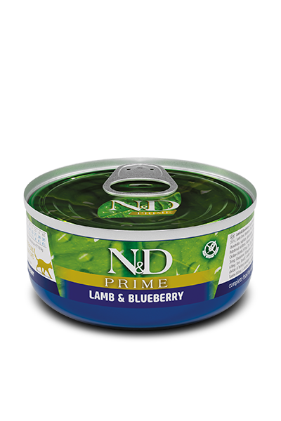 Lamb & Blueberry Adult wet food