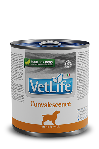 Convalescence Wet Food Canine