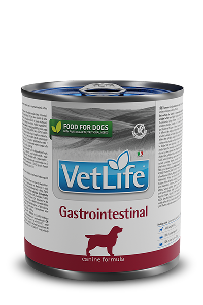Gastrointestinal Wet Food Canine