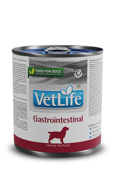 Gastrointestinal