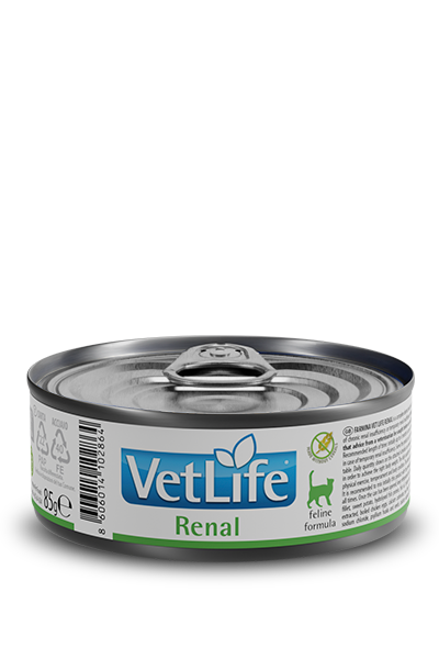 Renal Wet Food Feline