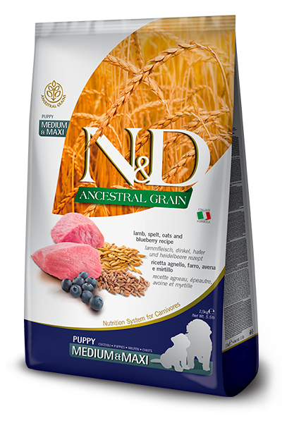 Farmina N&D Ancestral Grain Lamb & Blueberry Puppy Medium & Maxi 12 ק״ג