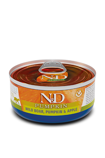 Boar, Pumpkin & Apple wet food