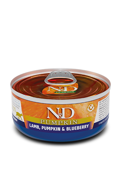 Pumpkin Lamb & Blueberry Wet food