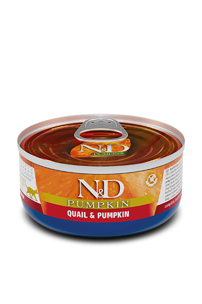 Quail & Pumpkin wet food