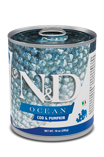 Cod & Pumpkin wet food