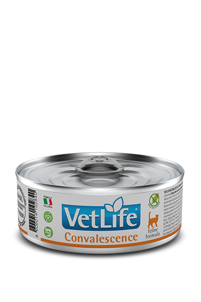 Convalescence Wet Food Feline 