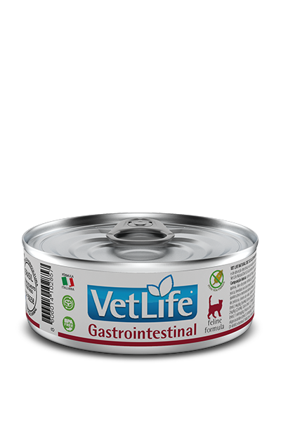 Gastrointestinal Wet Food Feline