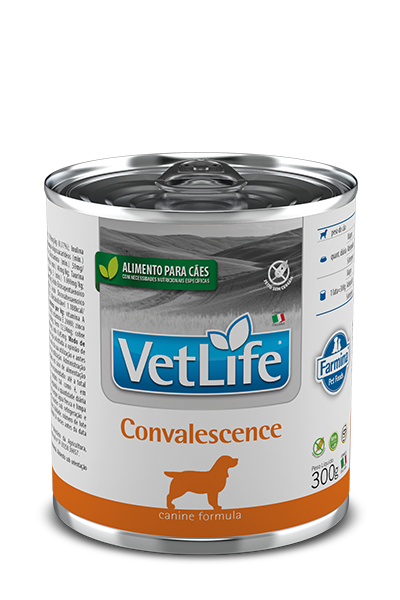 Convalescence Wet Food Canine