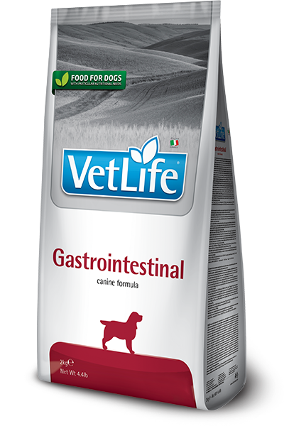 Gastrointestinal canine