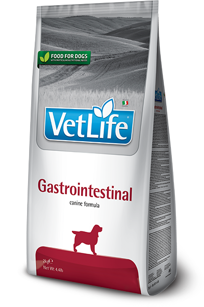 Gastrointestinal Hund