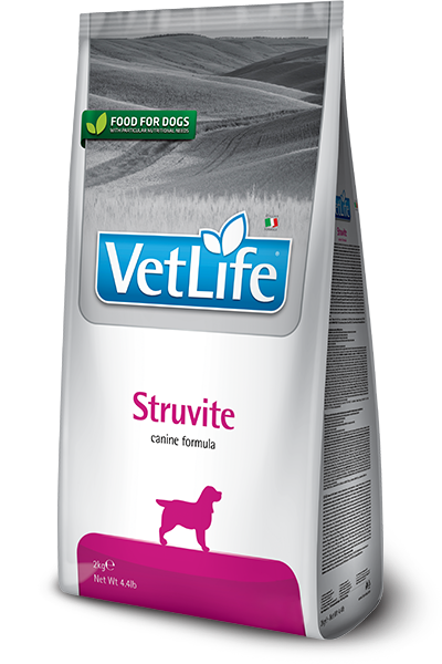 Struvite canine