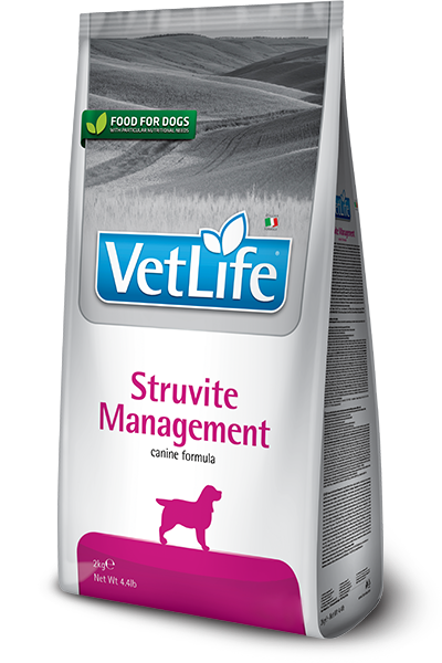 Struvite Management canine