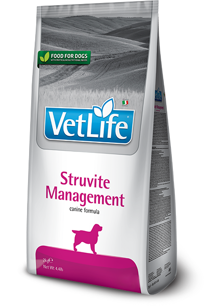 Struvite Management köpek