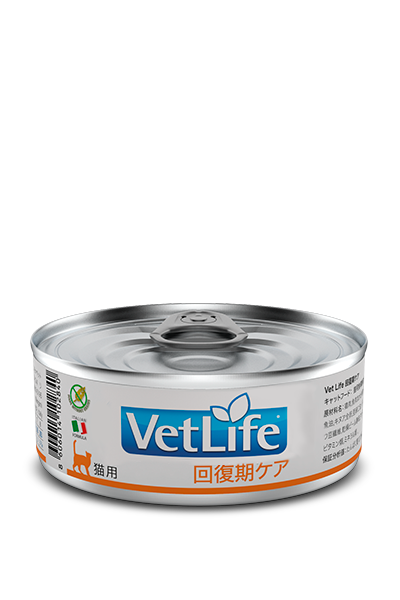 Vet Life 回復期ケア（猫用）