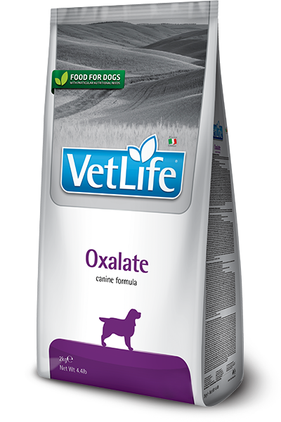 Oxalate canine