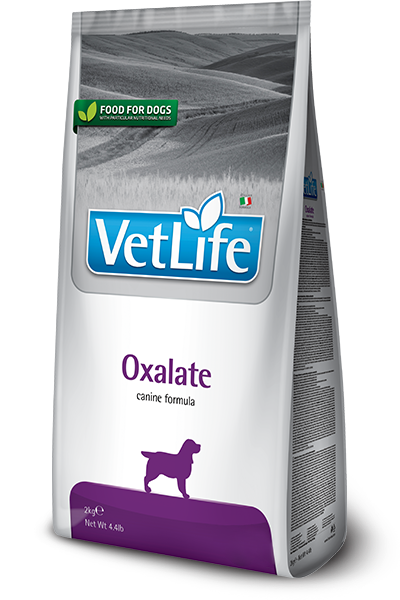 Oxalate hond