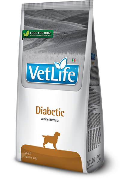 Diabetic canine