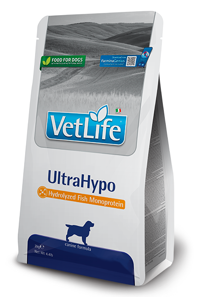 Ultrahypo hond