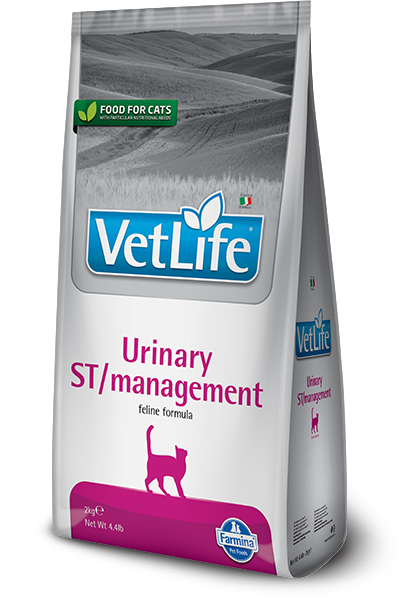 Urinary ST/management feline