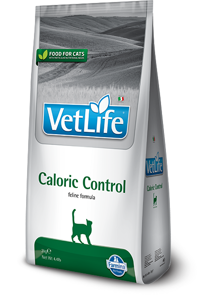 Caloric Control feline