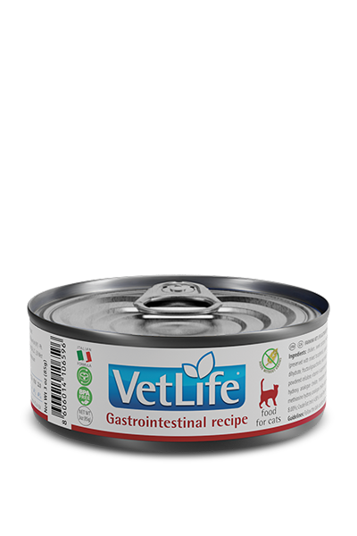 Gastrointestinal Wet Food Feline
