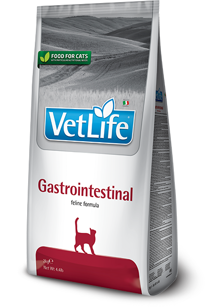 Gastrointestinal feline
