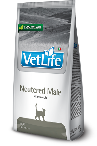 Neutered Male feline