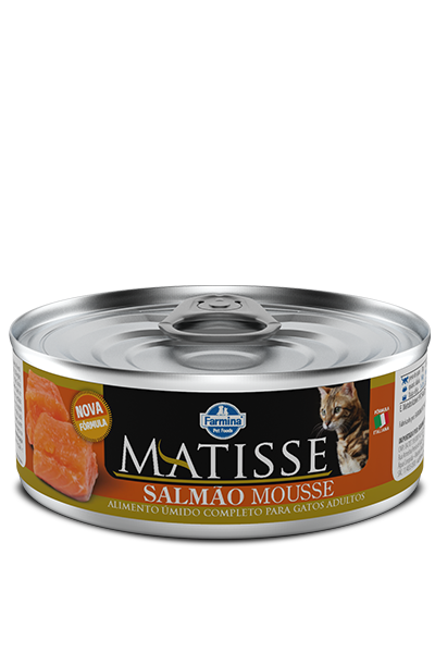 Salmão Mousse