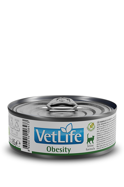 Obesity wet food feline